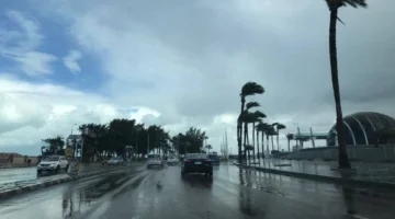 تحذير من الأرصاد بشأن أمطار رعدية وشبورة كثيفة ثالث أيام عيد الفطر